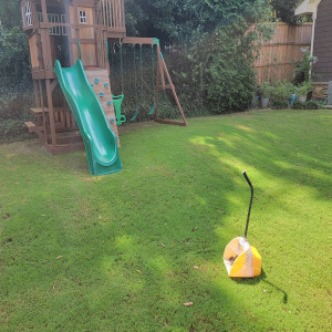 Pooper scooper sitting in residential yard next to swing set